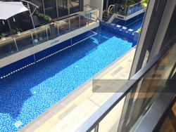 Jalan Lim Tai See (D10), Terrace #133502232